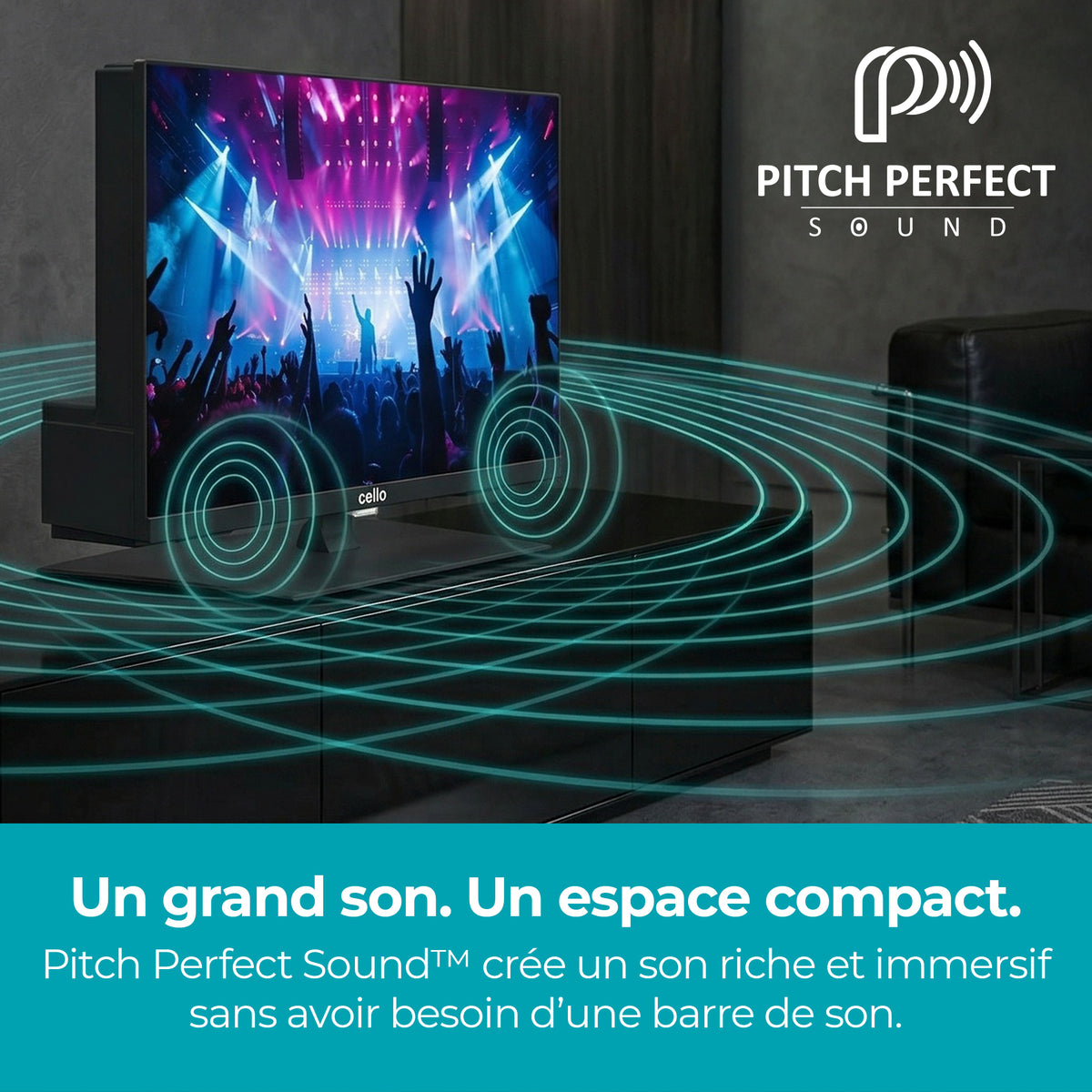 Téléviseur intelligent 12 volts 24 pouces pour voyageurs avec lecteur DVD (FR)